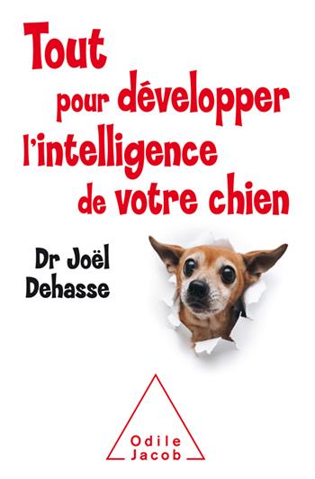 Tout pour développer l'intelligence de votre chien