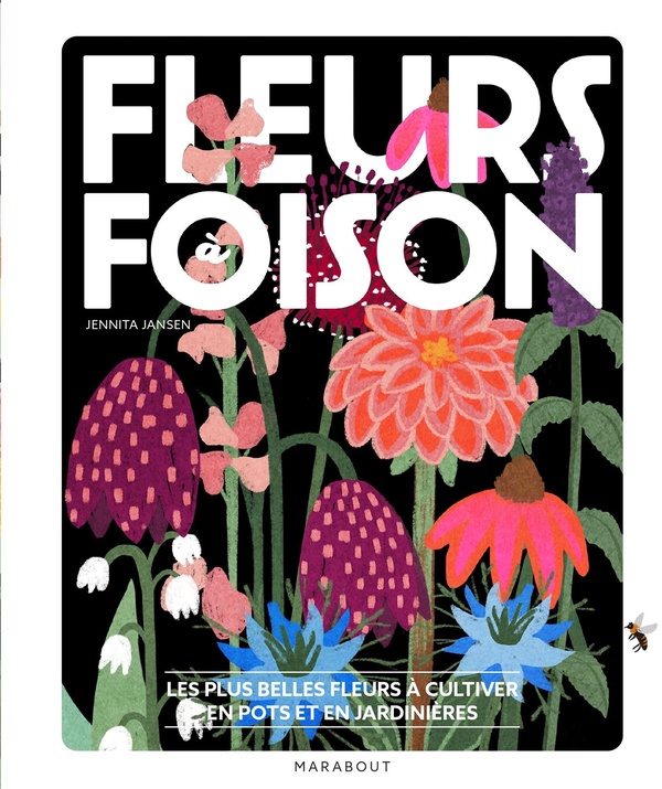 Fleurs à foison. Les plus belles fleurs à cultiver en pots et en jardinières