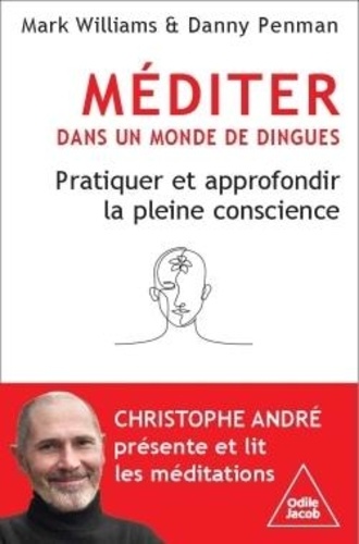 Méditer dans un monde de dingues. Pratiquer et approfondir la pleine conscience