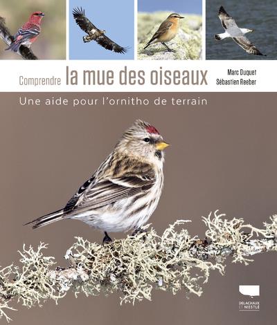 Comprendre la mue des oiseaux. Une aide pour l'ornitho de terrain