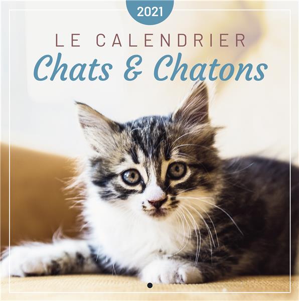 Le calendrier chats & chatons. Edition 2021