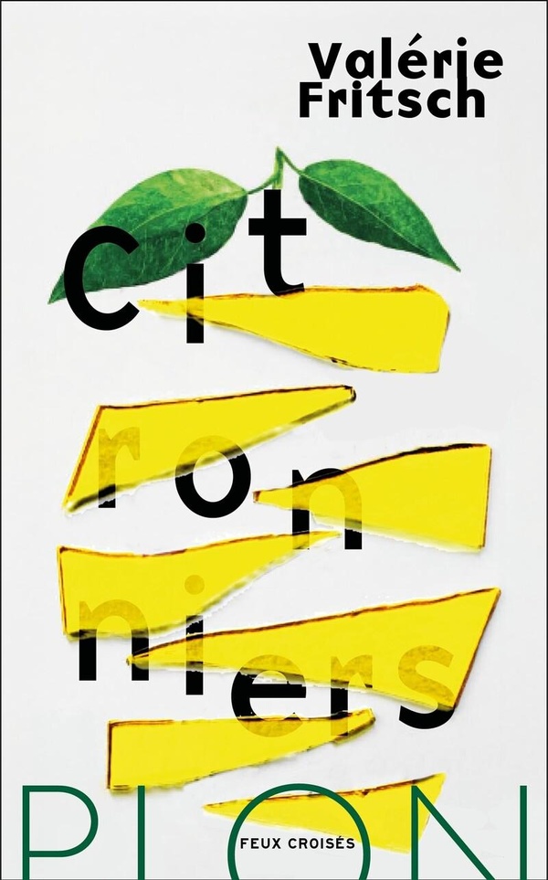 L'Invention de la douleur