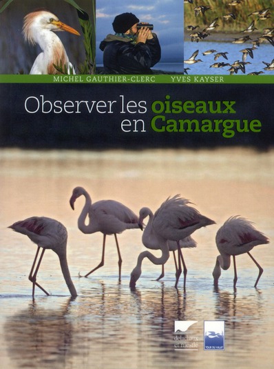 Observer les oiseaux en Camargue