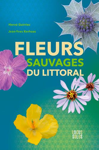Fleurs sauvages du littoral