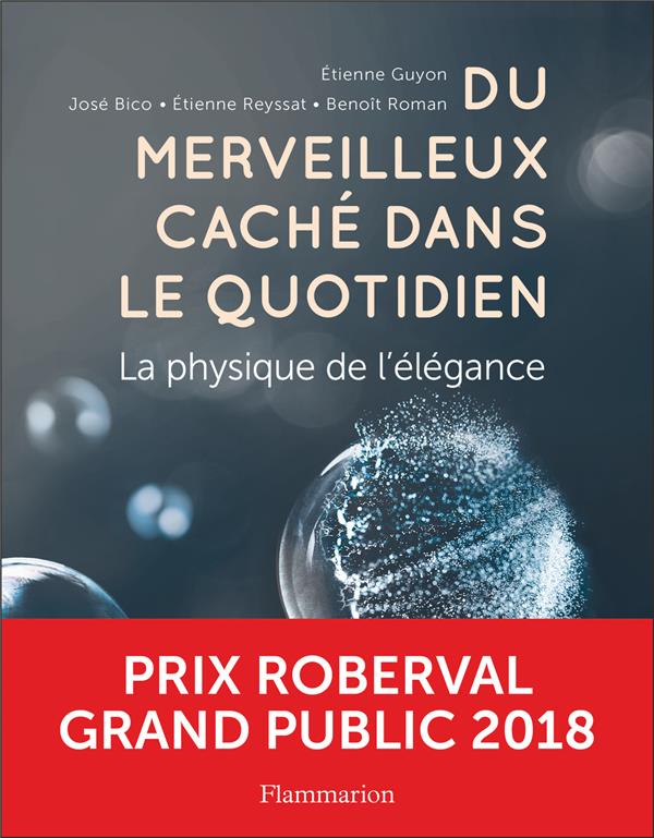 Du merveilleux caché dans le quotidien. La physique de l'élégance