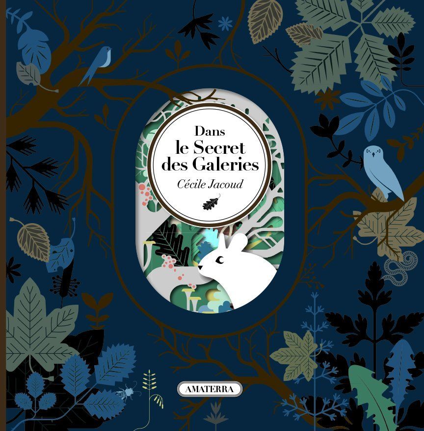 Dans le Secret des Galeries