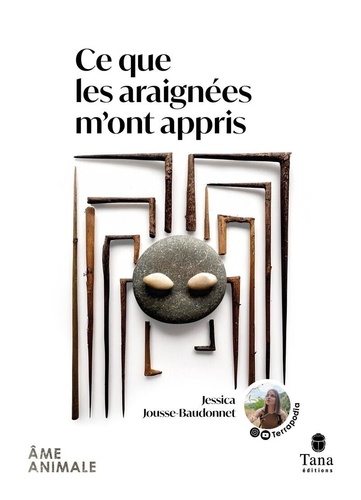 Ce que les araignées m'ont appris