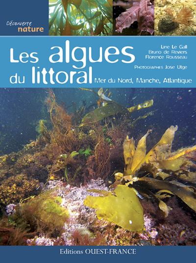 Les algues du littoral. Mer du Nord, Manche, Atlantique