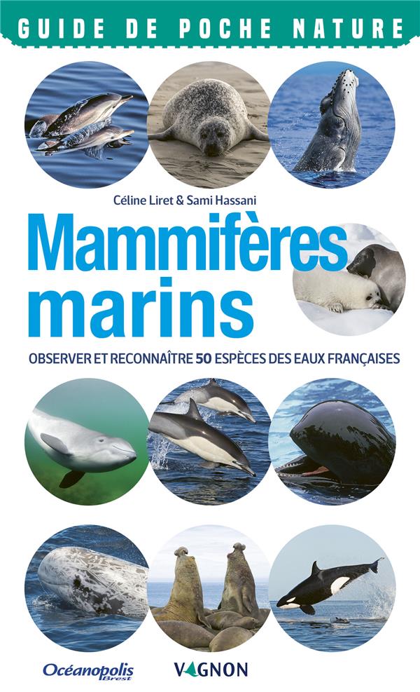 Mammifères marins