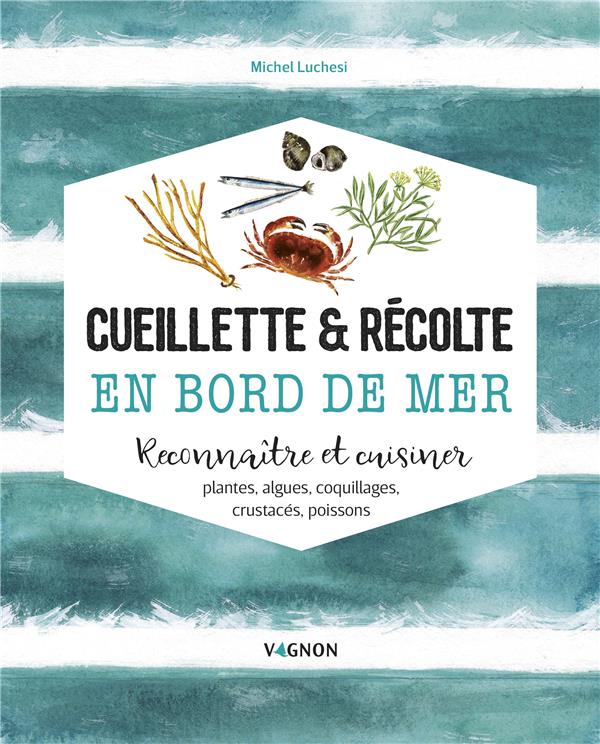 Cueillette & récolte en bord de mer. Reconnaître et cuisiner plantes, algues, coquillages, crustacés