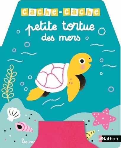 Petite tortue des mers