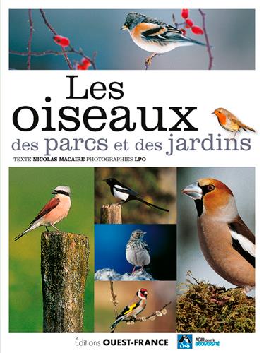 Les oiseaux des parcs et des jardins. De l'Accenteur mouchet au Verdier d'Europe