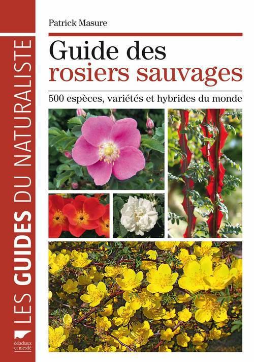 Guide des rosiers sauvages. 500 espèces, variétés et hybrides du monde
