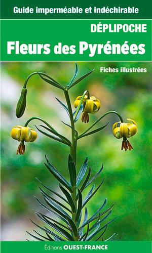 Fleurs des Pyrénées