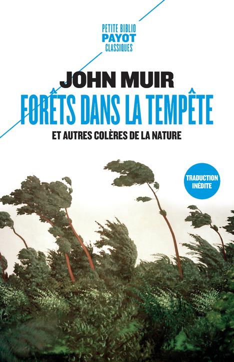 Forêts dans la tempête. Et autres colères de la nature