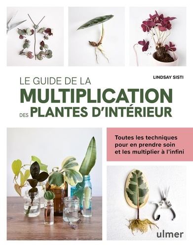 Le guide de la multiplication des plantes d'intérieur. Toutes les techniques pour en prendre soin et