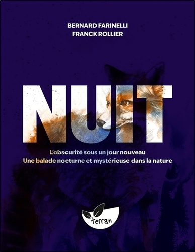 Nuit. L’obscurité sous un jour nouveau. Une balade nocturne et mystérieuse dans la nature