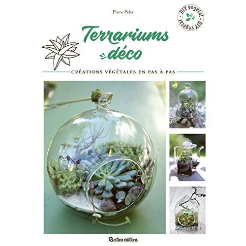Terrariums déco