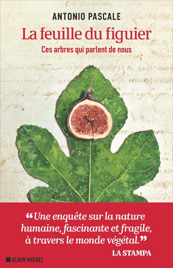 La feuille du figuier. Ces arbres qui parlent de nous