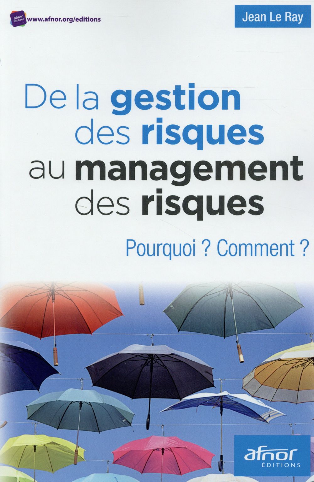 ray-le-jean-de-la-gestion-du-risque-au-management_0