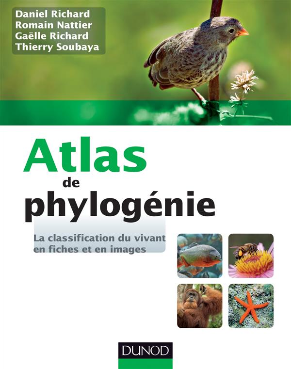Atlas de phylogénie. La classification du vivant en fiches et en images