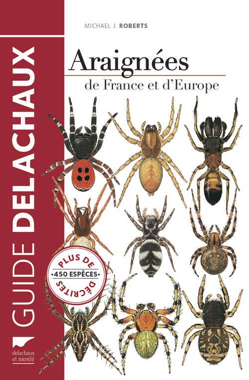 Araignées de France et d'Europe