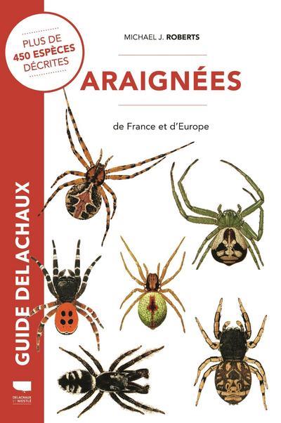 Araignées de France et d'Europe