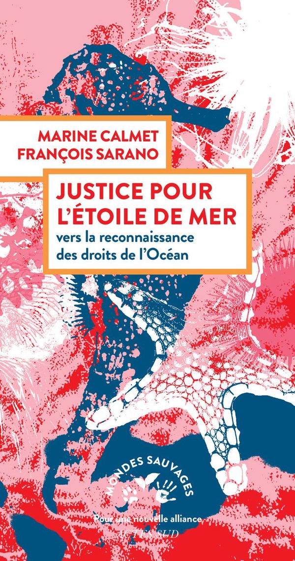 Justice pour l'étoile de mer. Vers la reconnaissance des droits de l'océan