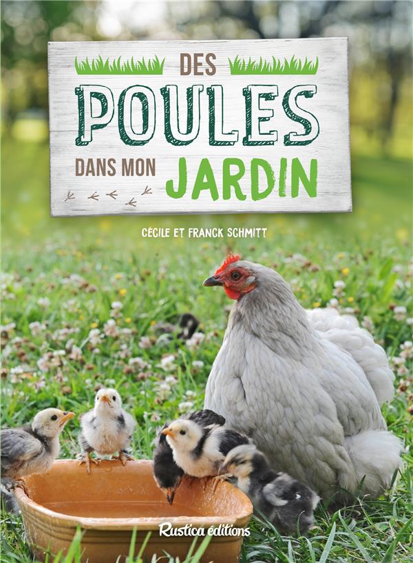 Des poules dans mon jardin. Un rêve accessible si le tout est bien orchestré !