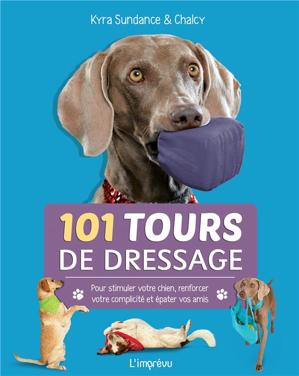 101 tours de dressage. Pour stimuler votre chien, renforcer votre complicité et épater vos amis.