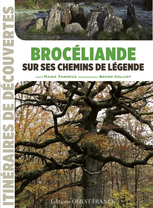 Brocéliande. Sur ses chemins de légendes