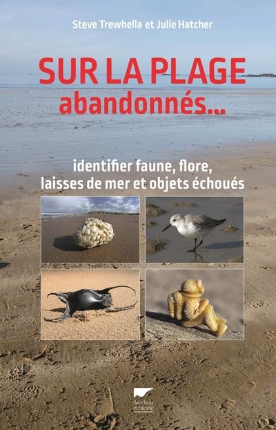 Sur la plage abandonnés... Identifier faune, flore, laisses de mer, objets échoués