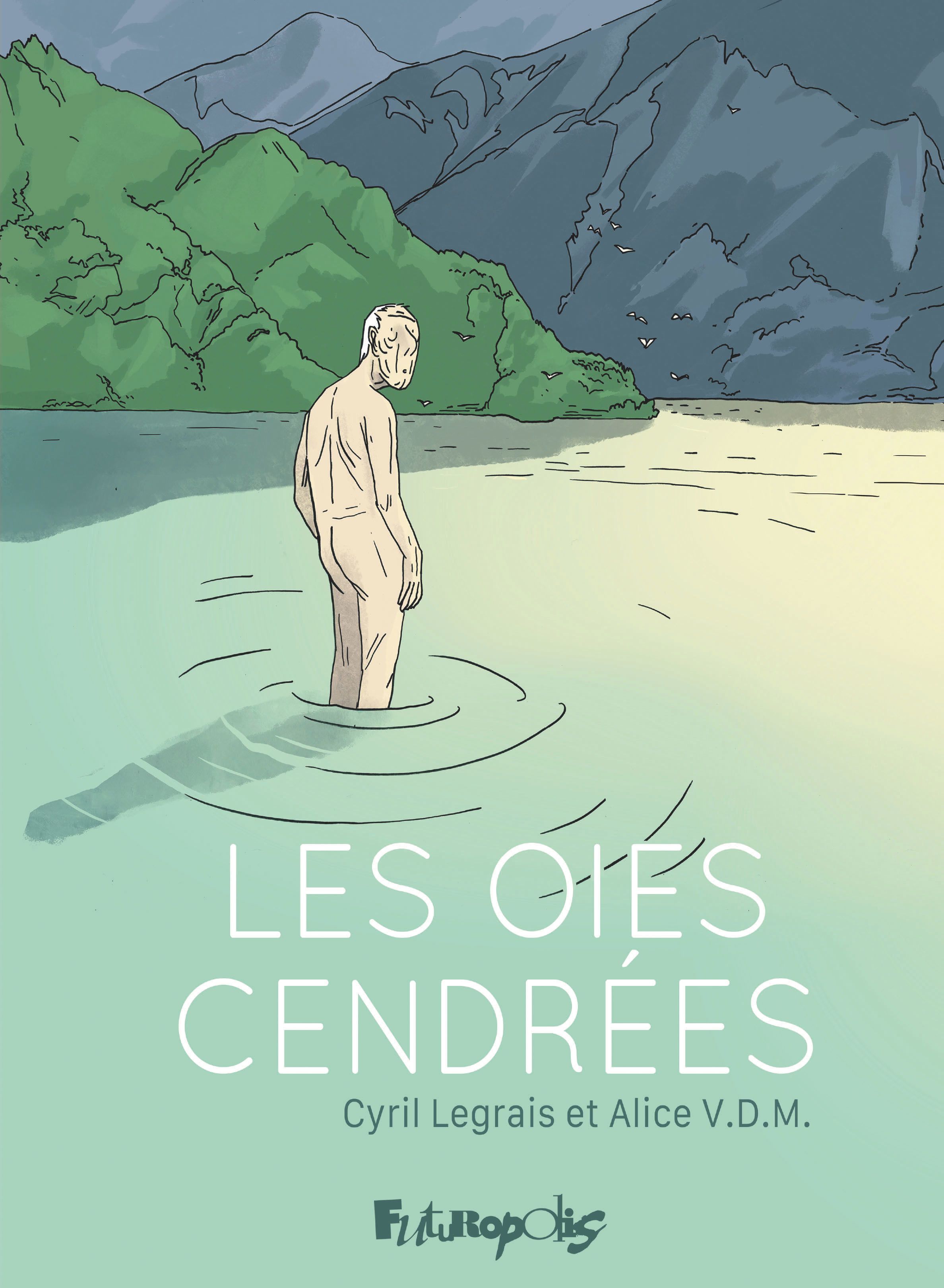 Les oies cendrées
