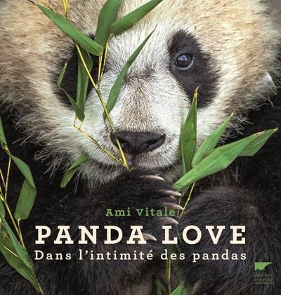 Panda love. Dans l'intimité des pandas
