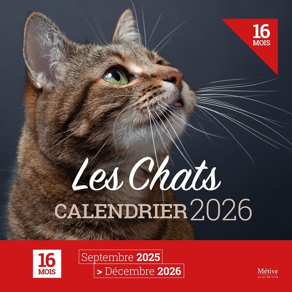 Calendrier des chats. Edition 2026