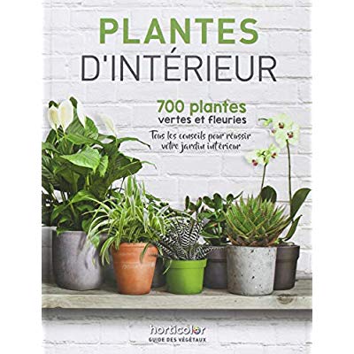 Plantes d'intérieur